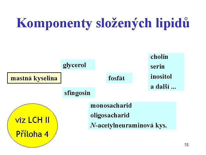 Komponenty složených lipidů glycerol mastná kyselina fosfát sfingosin viz LCH II cholin serin inositol