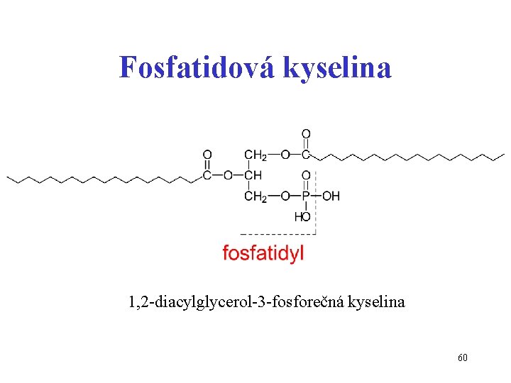 Fosfatidová kyselina 1, 2 -diacylglycerol-3 -fosforečná kyselina 60 