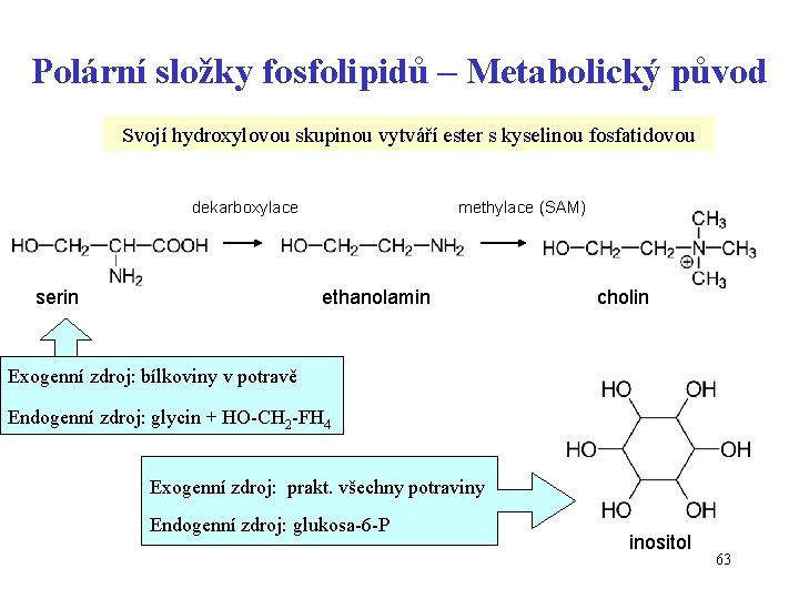 Polární složky fosfolipidů – Metabolický původ Svojí hydroxylovou skupinou vytváří ester s kyselinou fosfatidovou