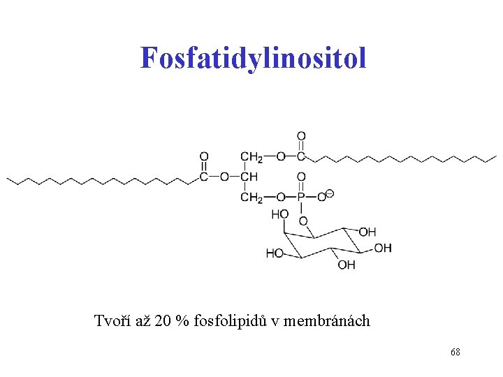 Fosfatidylinositol Tvoří až 20 % fosfolipidů v membránách 68 