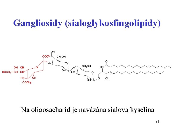 Gangliosidy (sialoglykosfingolipidy) Na oligosacharid je navázána sialová kyselina 81 