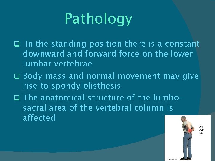 Pathology q In the standing position there is a constant downward and forward force