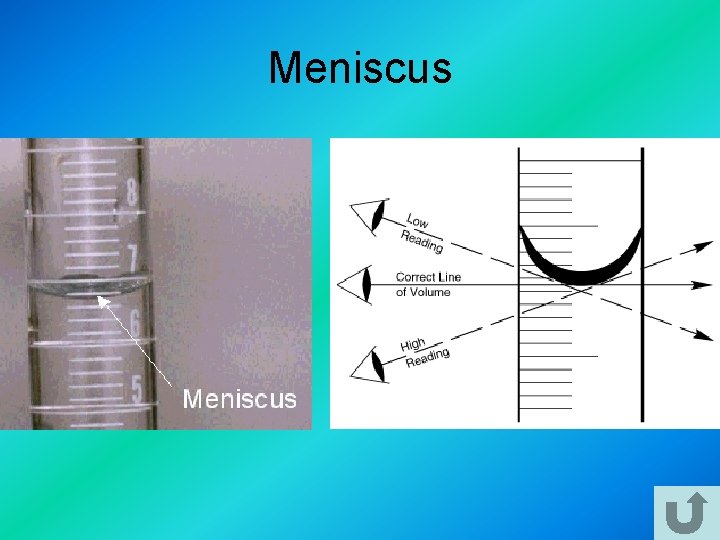 Meniscus 