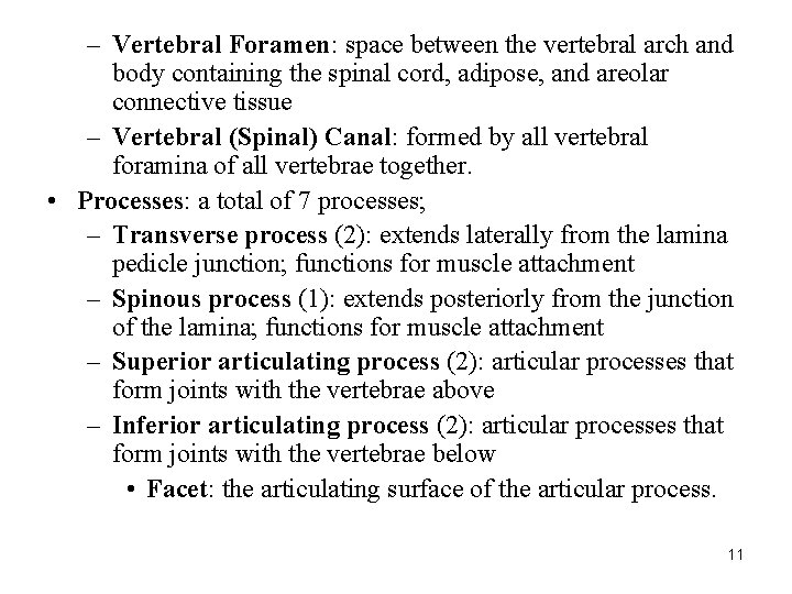 – Vertebral Foramen: space between the vertebral arch and body containing the spinal cord,