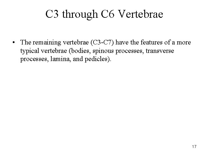 C 3 through C 6 Vertebrae • The remaining vertebrae (C 3 -C 7)