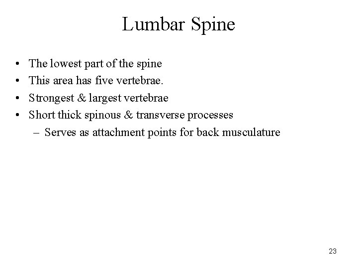 Lumbar Spine • • The lowest part of the spine This area has five