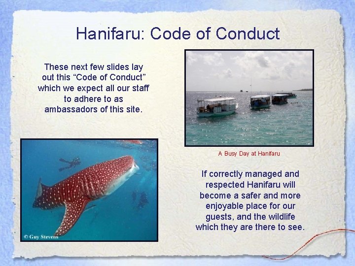 Hanifaru: Code of Conduct These next few slides lay out this “Code of Conduct”