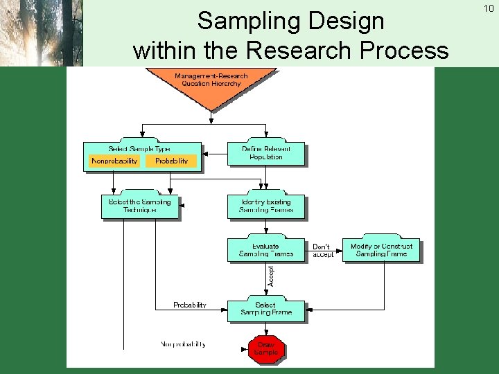 Sampling Design within the Research Process 10 