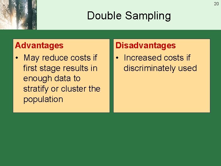20 Double Sampling Advantages • May reduce costs if first stage results in enough