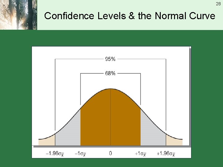 28 Confidence Levels & the Normal Curve 