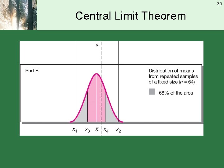 30 Central Limit Theorem 