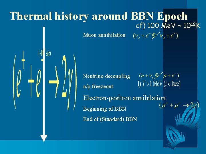 Thermal history around BBN Epoch cf) 100 Me. V ~ 1012 K Muon annihilation