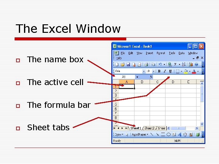 The Excel Window o The name box o The active cell o The formula