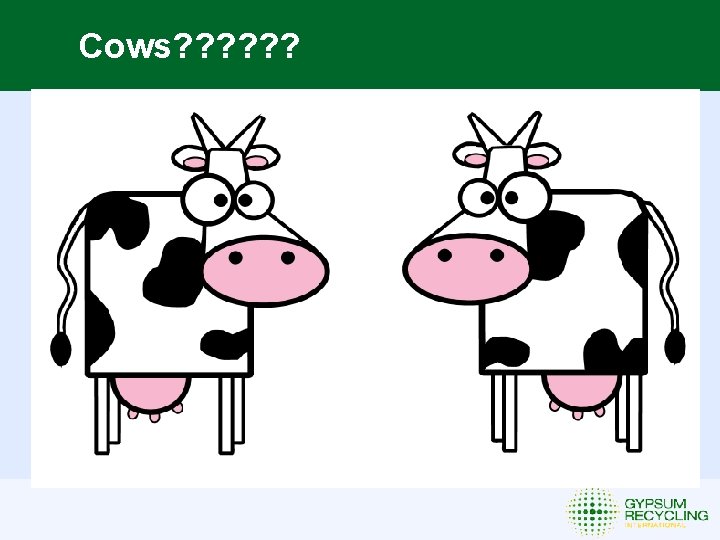 Cows? ? ? 