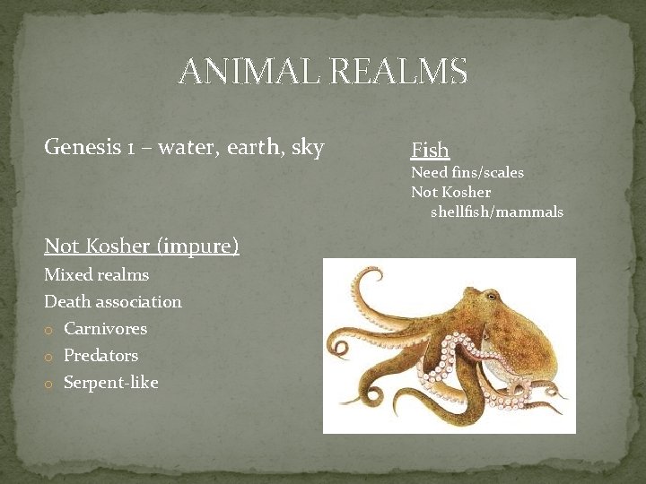 ANIMAL REALMS Genesis 1 – water, earth, sky Fish Need fins/scales Not Kosher shellfish/mammals