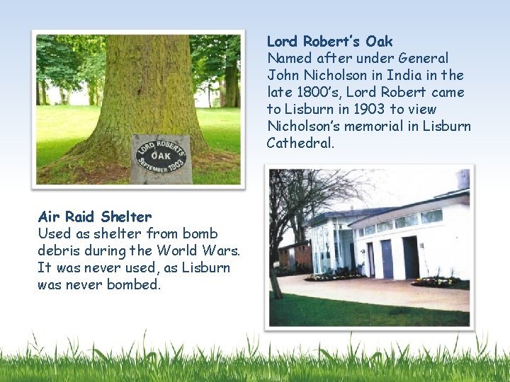 Lord Robert’s Oak Named after under General John Nicholson in India in the late