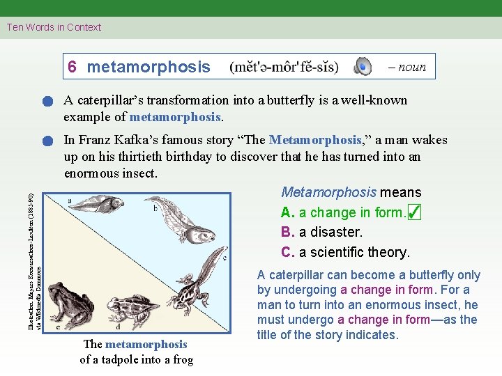 Ten Words in Context 6 metamorphosis – noun Illustration: Meyers Konversations-Lexikon (1885 -90) via