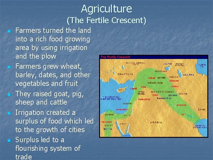 Agriculture (The Fertile Crescent) n n n Farmers turned the land into a rich