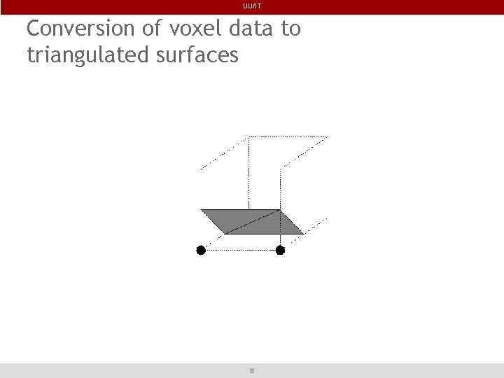 UU/IT Conversion of voxel data to triangulated surfaces 