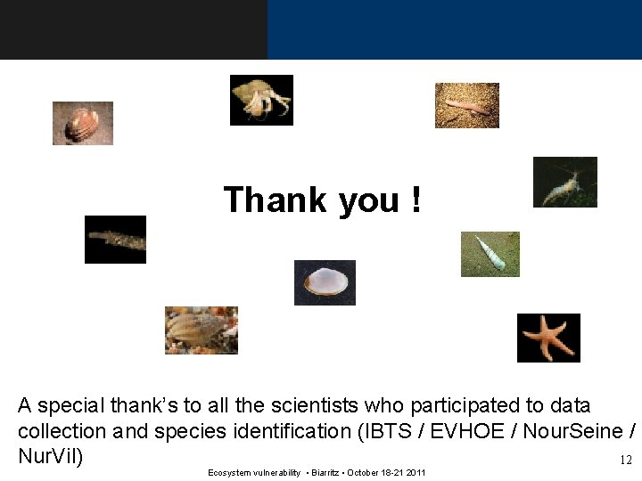 Thank you ! A special thank’s to all the scientists who participated to data