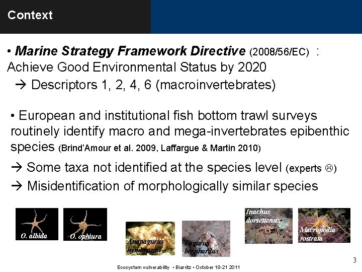 Context • Marine Strategy Framework Directive (2008/56/EC) : Achieve Good Environmental Status by 2020