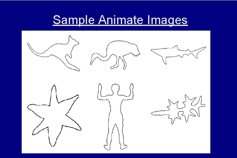 Sample Animate Images 