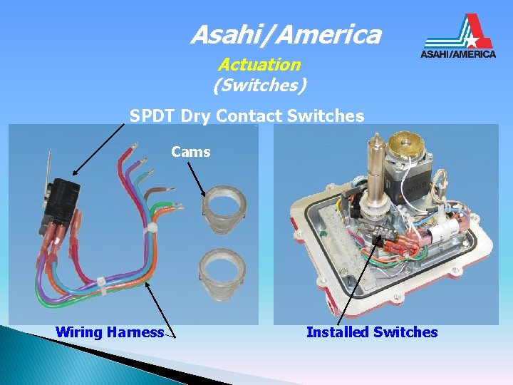 Asahi/America Actuation (Switches) SPDT Dry Contact Switches Cams Wiring Harness Installed Switches 