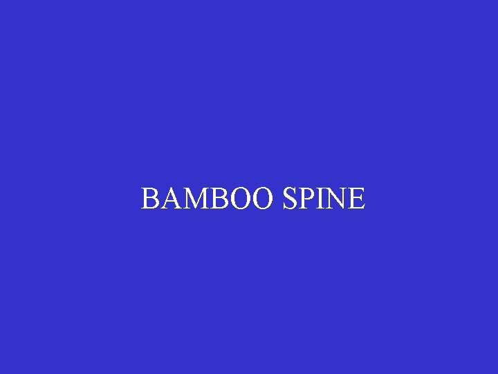 BAMBOO SPINE 