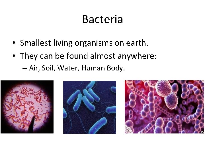 Bacteria • Smallest living organisms on earth. • They can be found almost anywhere: