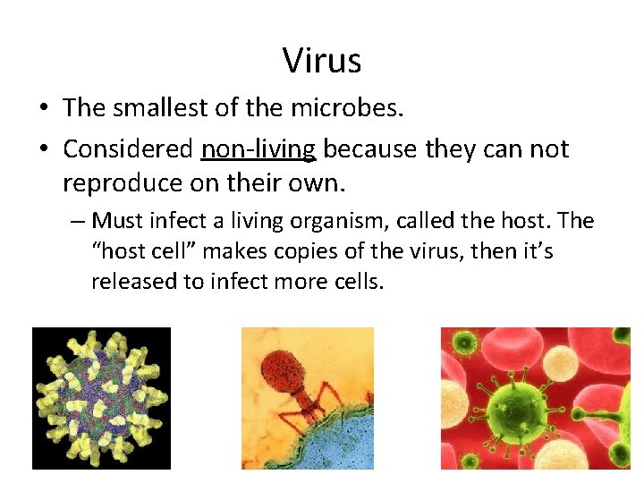 Virus • The smallest of the microbes. • Considered non-living because they can not