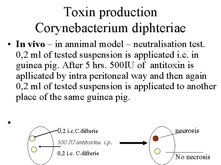 Toxin production Corynebacterium diphteriae • In vivo – in annimal model – neutralisation test.