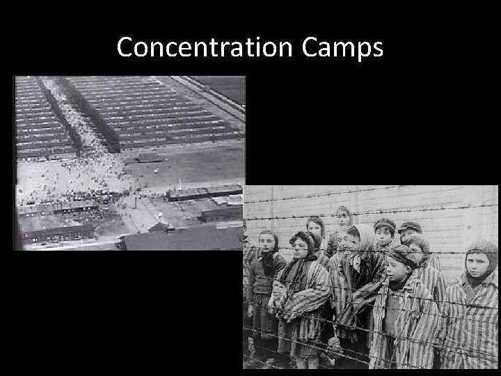 Concentration Camps 