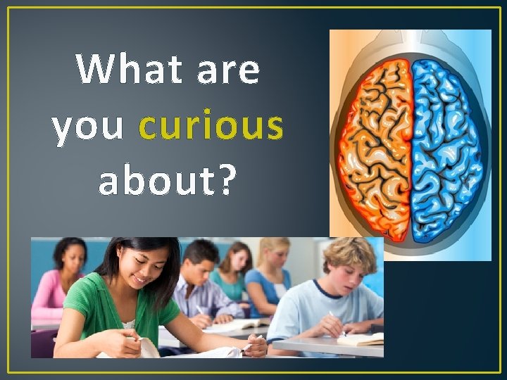 What are you curious about? 