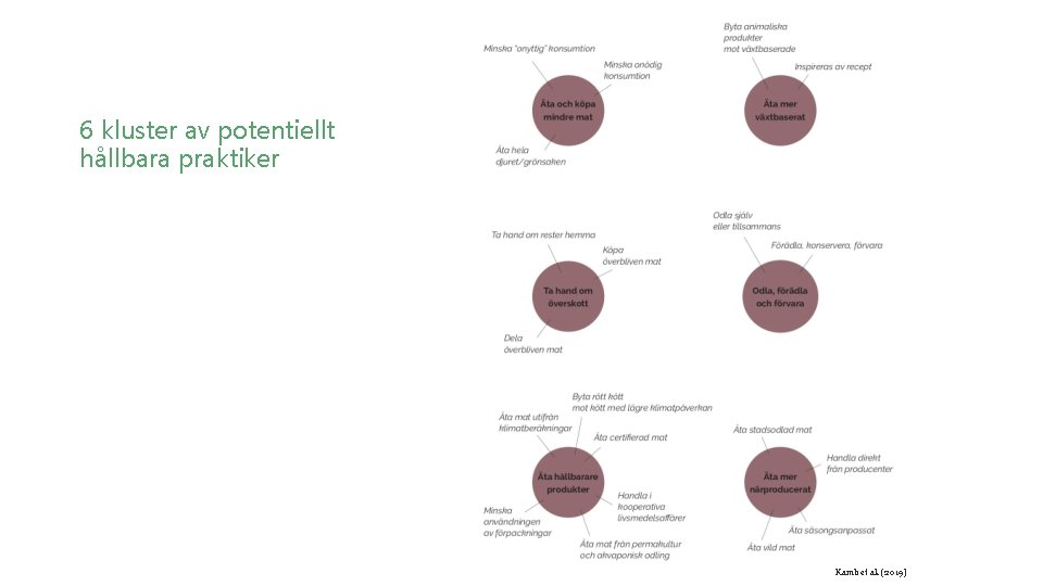 6 kluster av potentiellt hållbara praktiker Kamb et al. (2019) 