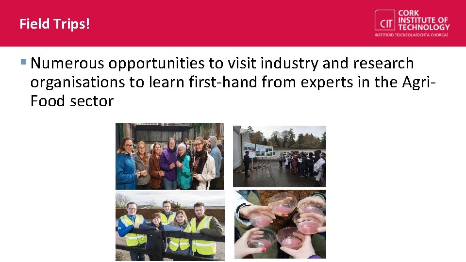 Field Trips! § Numerous opportunities to visit industry and research organisations to learn first-hand