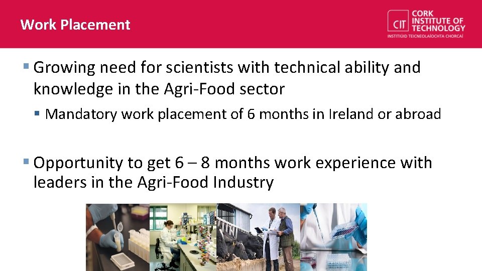 Work Placement § Growing need for scientists with technical ability and knowledge in the