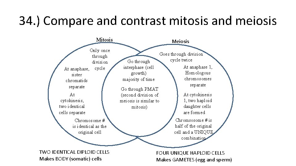 34. ) Compare and contrast mitosis and meiosis Mitosis Only once through division At