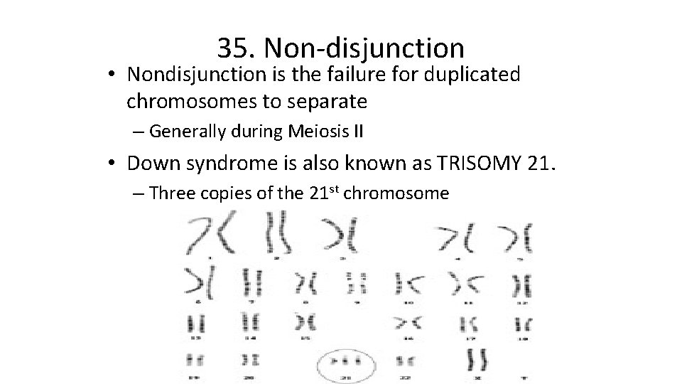 35. Non-disjunction • Nondisjunction is the failure for duplicated chromosomes to separate – Generally