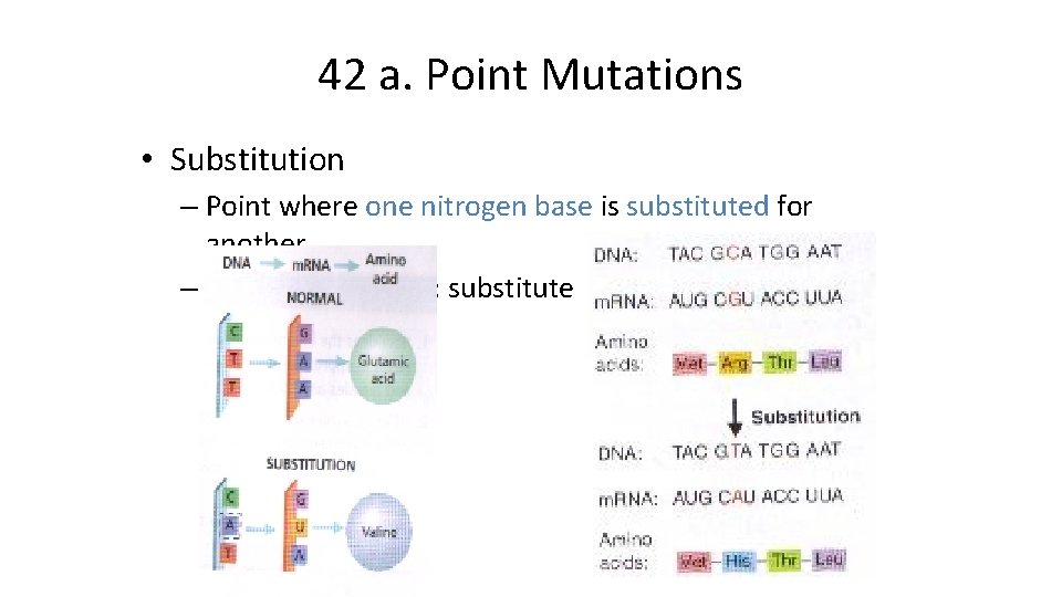 42 a. Point Mutations • Substitution – Point where one nitrogen base is substituted