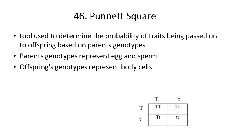 46. Punnett Square • tool used to determine the probability of traits being passed