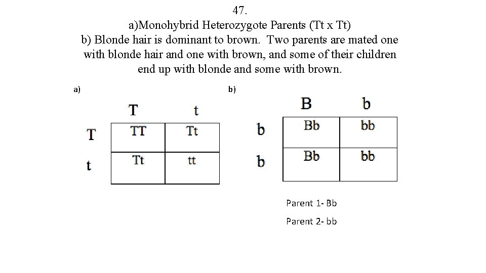 47. a)Monohybrid Heterozygote Parents (Tt x Tt) b) Blonde hair is dominant to brown.