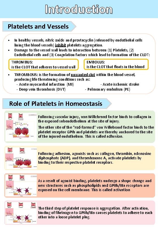Introduction Platelets and Vessels • In healthy vessels, nitric oxide and prostacyclin (released by