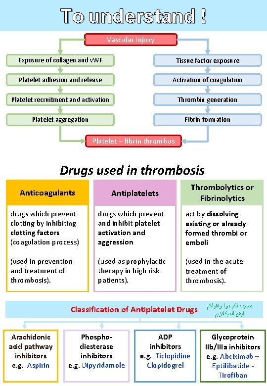 To understand ! Vascular Injury Exposure of collagen and v. WF Tissue factor exposure