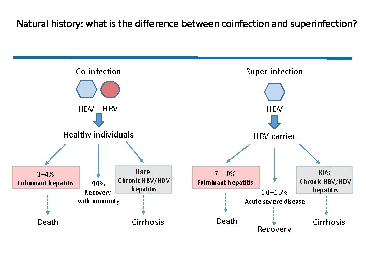 Natural history: what is the difference between coinfection and superinfection? 3– 4% Co-infection Super-infection