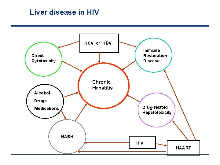 Liver disease in HIV HCV or HBV Immune Restoration Disease Direct Cytotoxicity Chronic Hepatitis