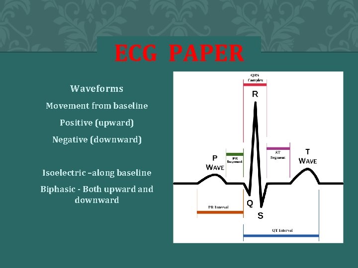 ECG PAPER Waveforms Movement from baseline Positive (upward) Negative (downward) Isoelectric –along baseline Biphasic