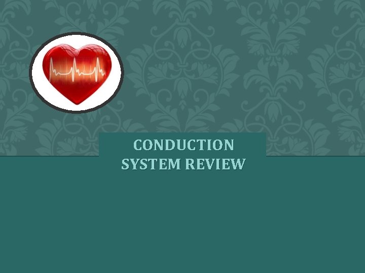 CONDUCTION SYSTEM REVIEW 