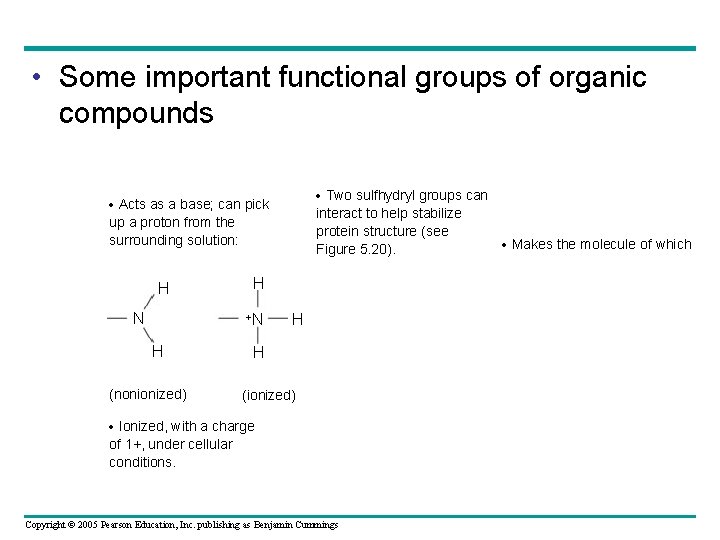  • Some important functional groups of organic compounds Two sulfhydryl groups can Acts