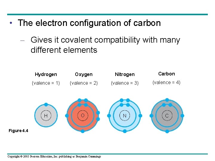  • The electron configuration of carbon – Gives it covalent compatibility with many