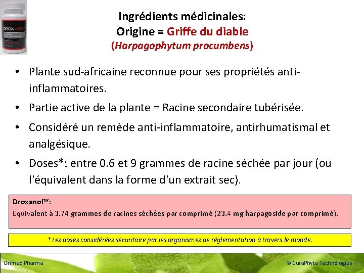 Ingrédients médicinales: Origine = Griffe du diable (Harpagophytum procumbens) • Plante sud-africaine reconnue pour